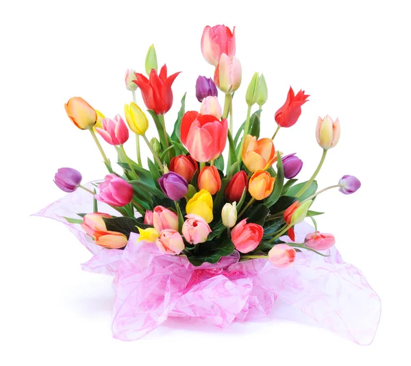 Více barevné tulipány — Stock fotografie