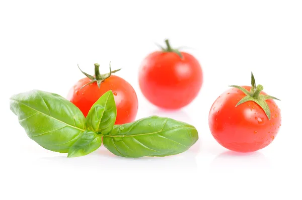 Basil with tomatoes — Stock Photo, Image