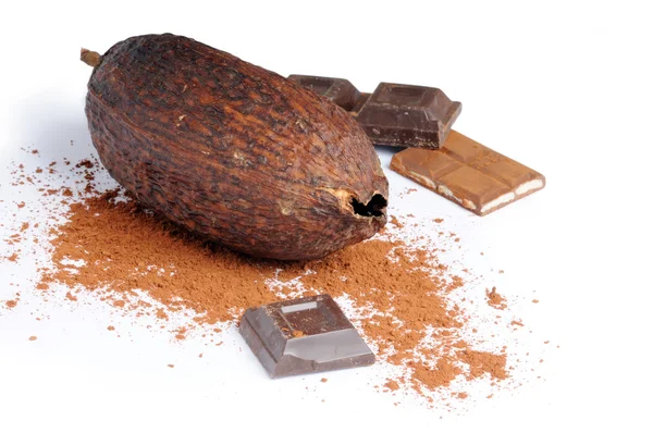 Cacao with chocolate — Stock Photo, Image