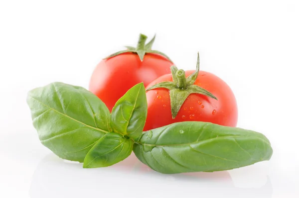 Basil with tomatoes Stock Photo
