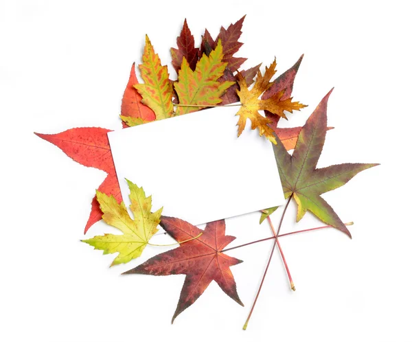Autumnal background — Stock Photo, Image