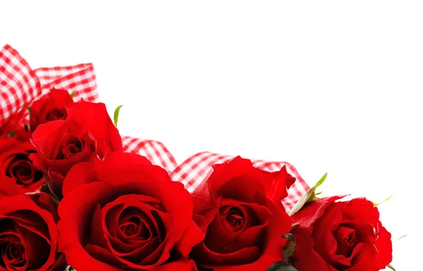 Hermosas rosas — Foto de Stock