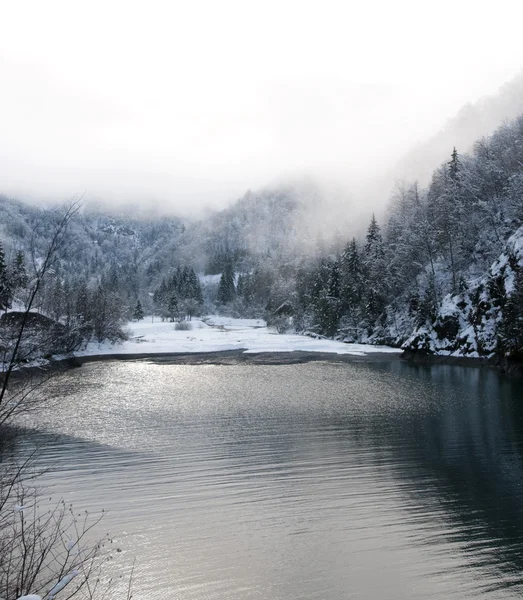 Winter lake — Stock Photo, Image