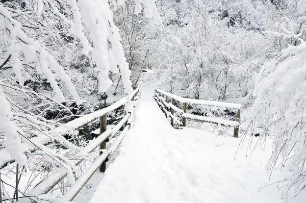 Winterbrücke — Stockfoto