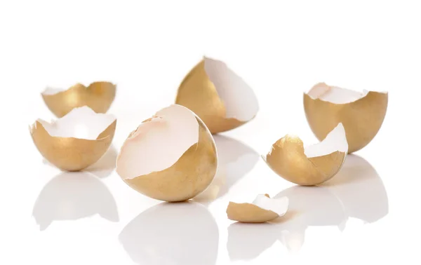 Golden shells — Stock Photo, Image