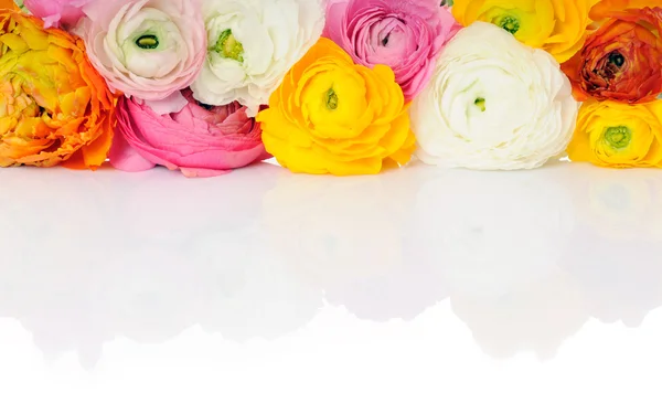 Borda de flores — Fotografia de Stock