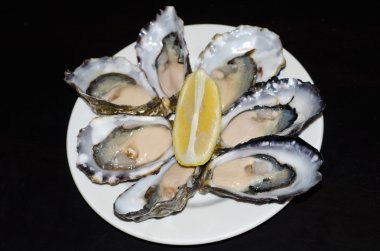 Fresh Oysters clipart