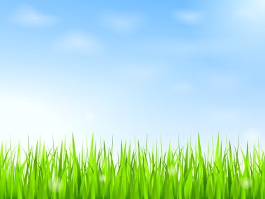 Green Grass and Blue Sky clipart