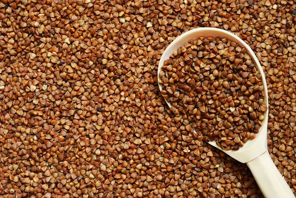 stock image Buckwheat