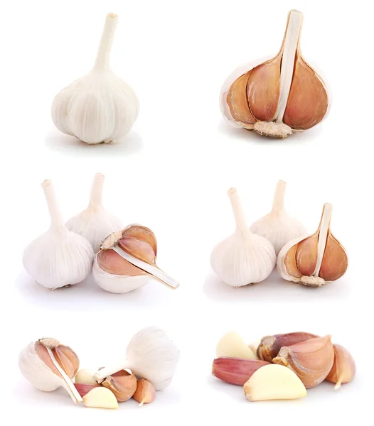 stock image Garlic