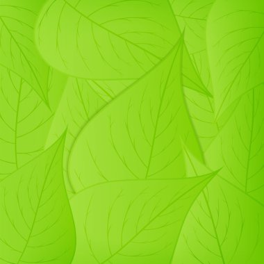 Green Leaves Background clipart