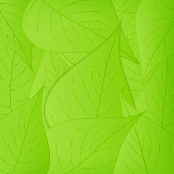 Green Leaves Background — Stock Vector