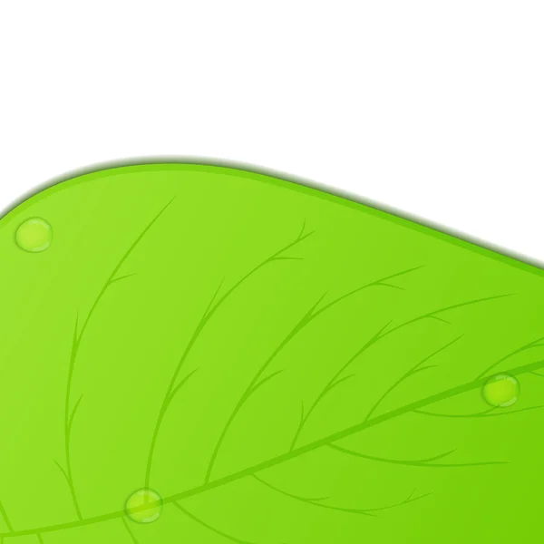 Листок зеленій — стоковий вектор