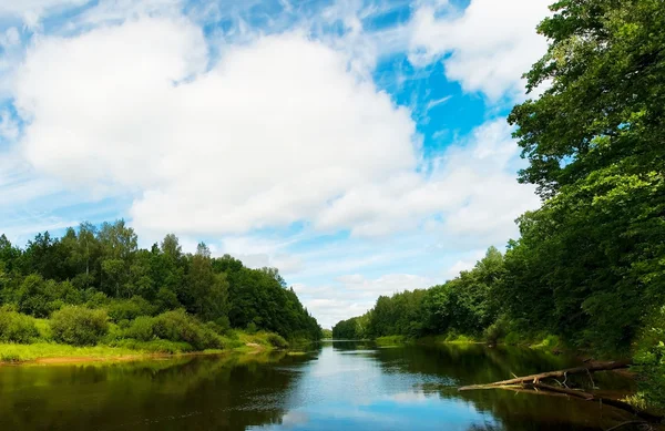 White Wood Background — Stock Photo © human_306 #11058932