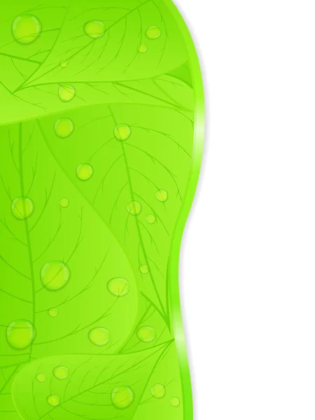 Vektor Hintergrund mit grünen Blättern — Stockvektor