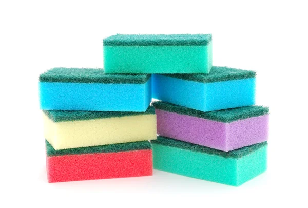 stock image Sponges