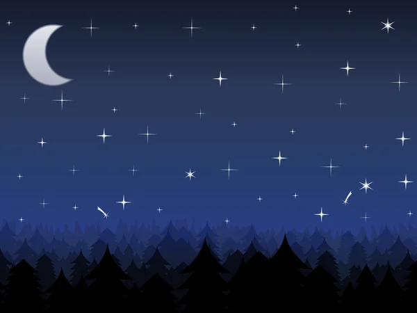 Night in a forest — Stock Vector