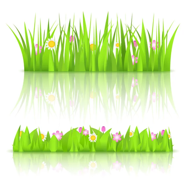 Grünes Gras mit Blumen — Stockvektor