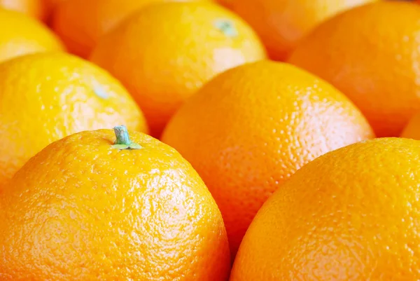 stock image Oranges