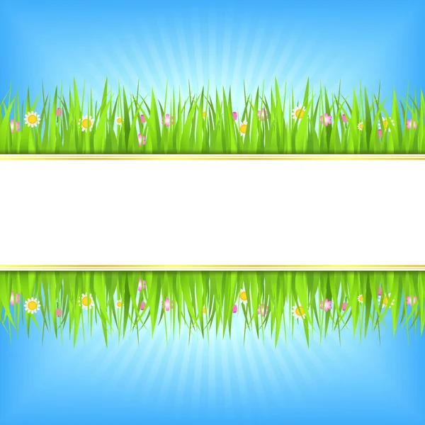 Summer background with green grass — Stock Vector