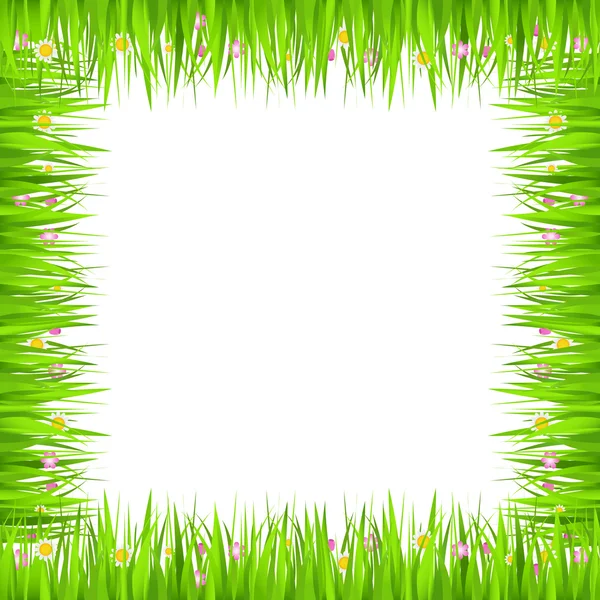 Marco de hierba cuadrada — Vector de stock