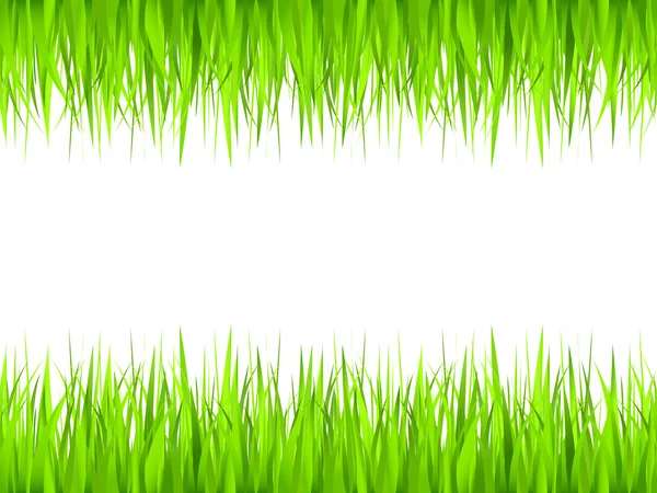 Marco de hierba — Vector de stock