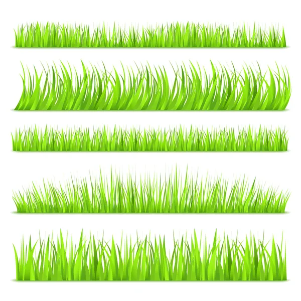 Sommergrünes Gras — Stockvektor