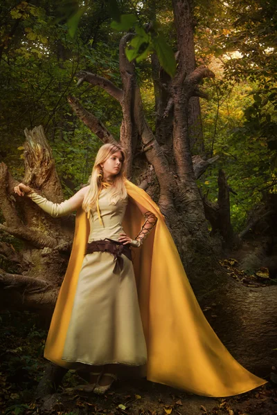 Blond tjej i en magisk skog — Stockfoto