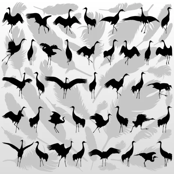 Grúa aves y plumas vector de fondo — Vector de stock