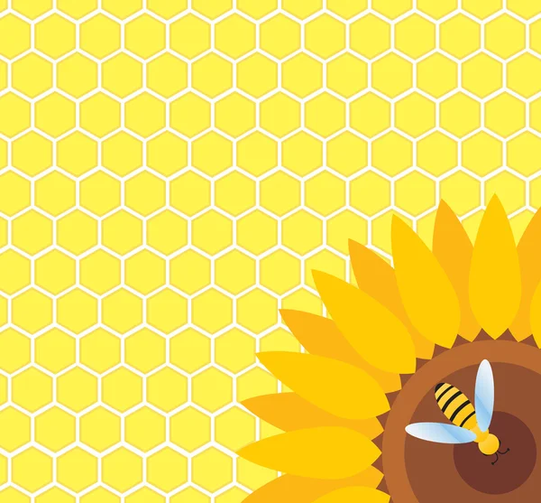 Pszczoła na wektor słonecznik i o strukturze plastra miodu — Wektor stockowy