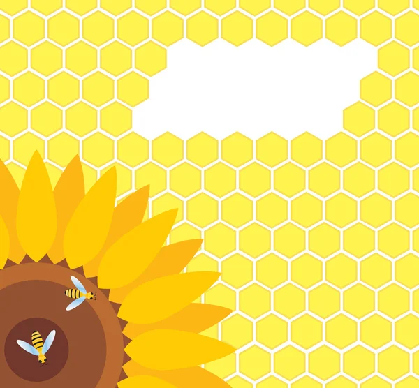Biene auf Sonnenblumen- und Wabenvektor — Stockvektor