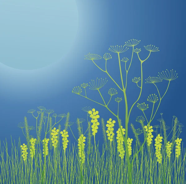Huge moon with grass and flowers vector background — Stock Vector