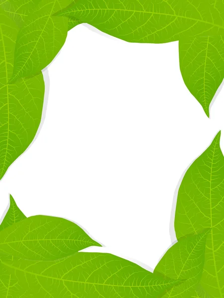 Groene bladeren achtergrond vector — Stockvector