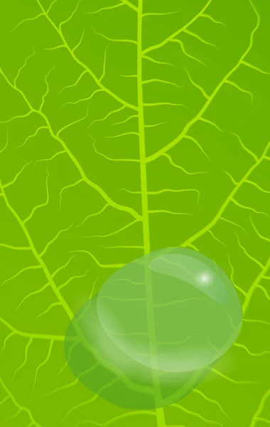 녹색 나뭇잎 배경 벡터 — 스톡 벡터