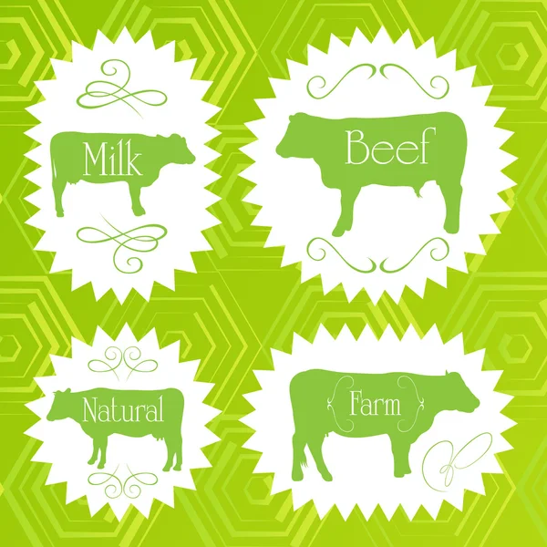 Rundvlees vee ecologie voedsel etiketten illustratie — Stockvector