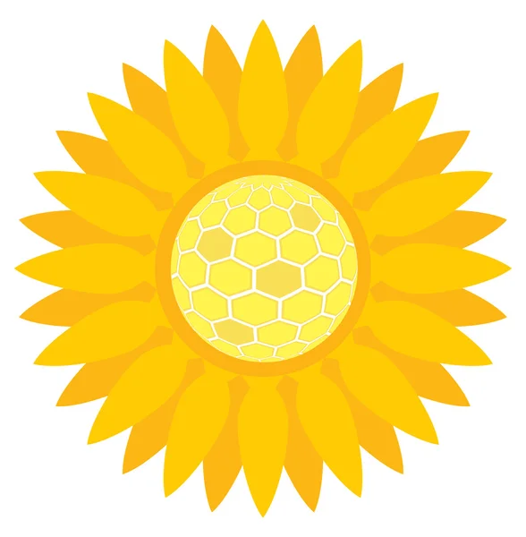 Sunflower with honeycombs vector background concept — Stock Vector