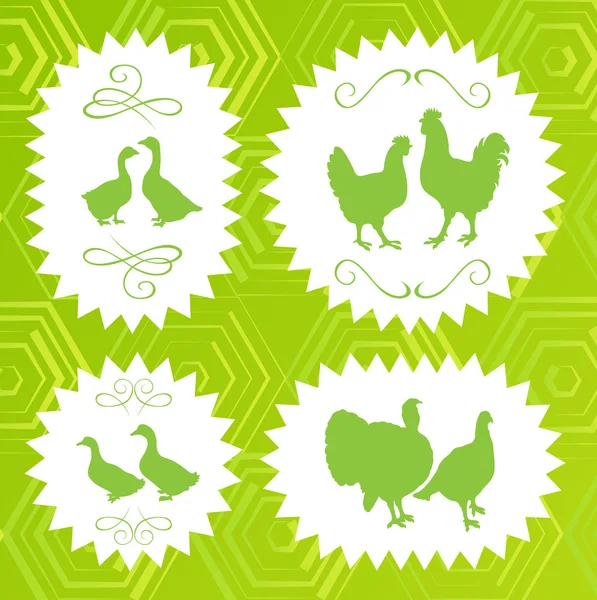 Ecologia fazenda frango, ganso, pato e vetor de etiqueta de peru — Vetor de Stock