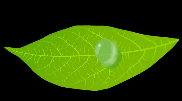 緑の葉の背景のベクトル — ストックベクタ