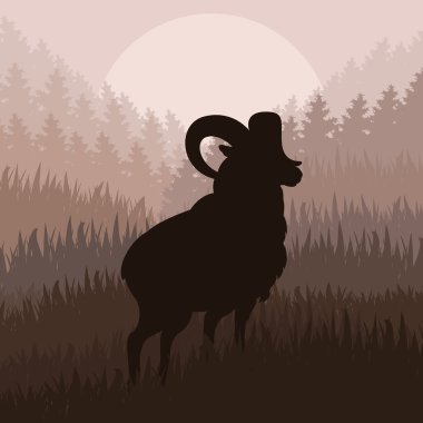 Mountain sheep in wild nature landscape illustration clipart