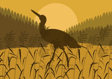 Stork bird wild nature landscape illustration clipart