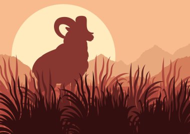 Mountain sheep in wild nature landscape illustration clipart