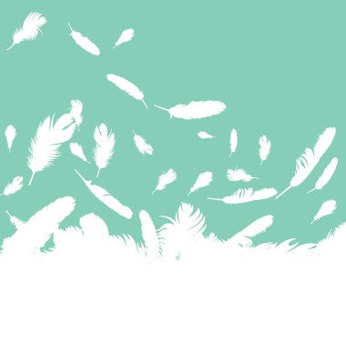Bird feathers background illustration vector
