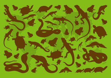 Amphibian reptile environmental illustration collection background