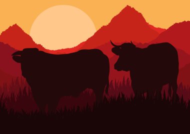 Beef cattle in wild nature landscape illustration clipart