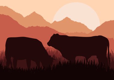 Beef cattle in wild nature landscape illustration clipart