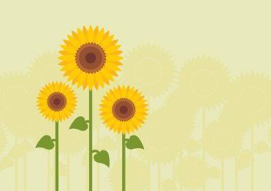 Yellow sunflowers landscape background illustration clipart