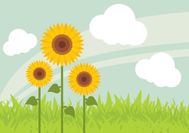 Yellow sunflowers landscape background illustration clipart