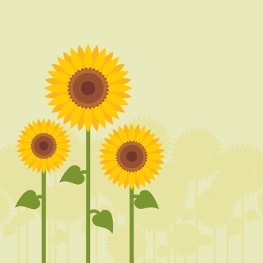 Yellow sunflowers landscape background illustration clipart