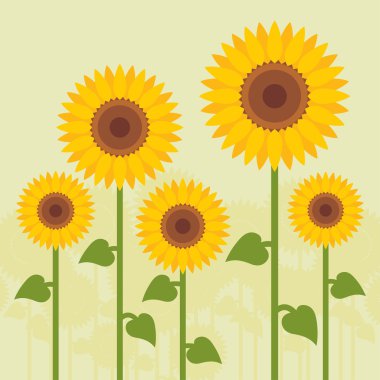 Yellow sunflowers landscape background illustration clipart