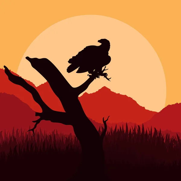 Vulture bird hunting in wild nature landscape illustration — Stock Vector